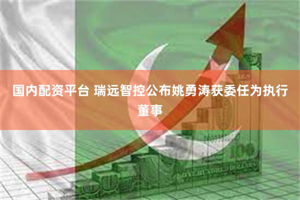 国内配资平台 瑞远智控公布姚勇涛获委任为执行董事