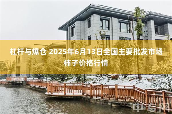 杠杆与爆仓 2025年6月13日全国主要批发市场柿子价格行情