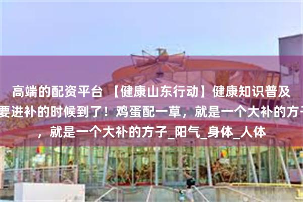 高端的配资平台 【健康山东行动】健康知识普及行动｜一年中最需要进补的时候到了！鸡蛋配一草，就是一个大补的方子_阳气_身体_人体
