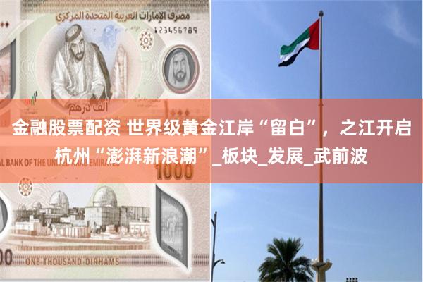 金融股票配资 世界级黄金江岸“留白”，之江开启杭州“澎湃新浪潮”_板块_发展_武前波
